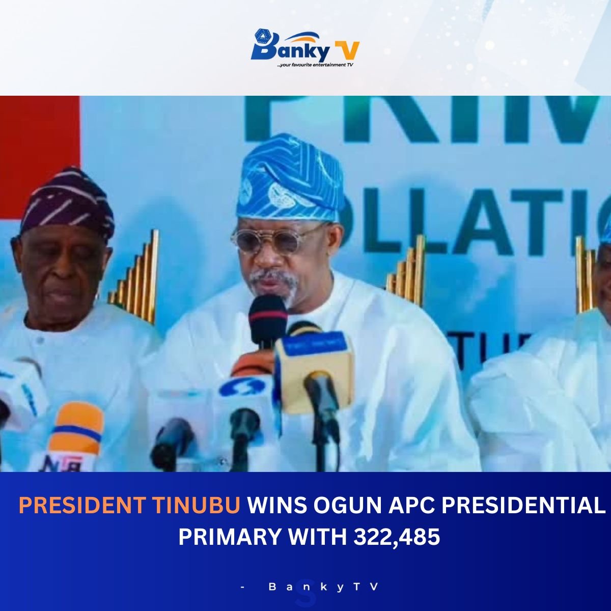 Ogun APC Primary