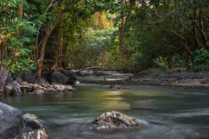Introduction to Nigeria’s Environments