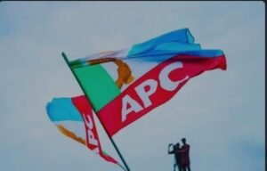 Ebonyi LG Poll: APC Sweeps All 13 Councils, 171 Wards