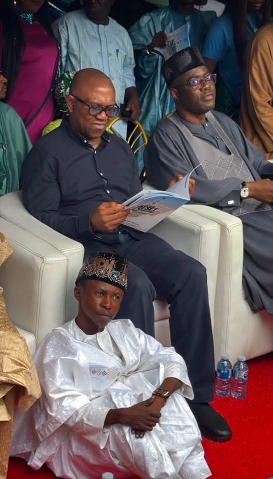Peter Obi and Gov Seyi Makinde